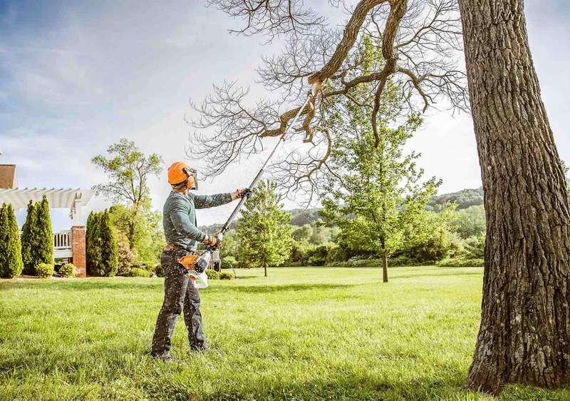 Tree Trimming home services